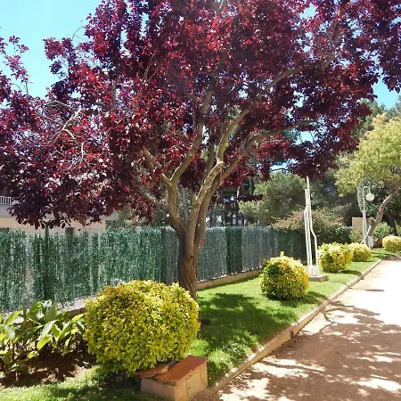 Treumal Cala Rovira Apartment *